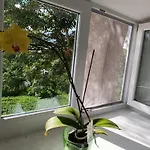 Maeo Apartment Διαμέρισμα Mäo