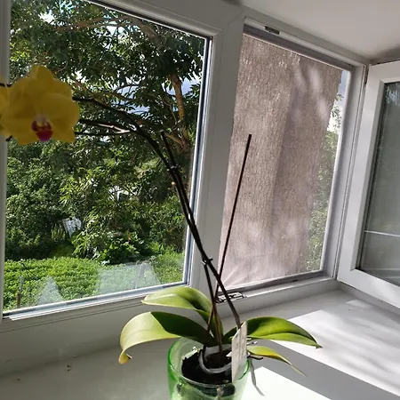 Maeo Apartment Lejlighed Mäo