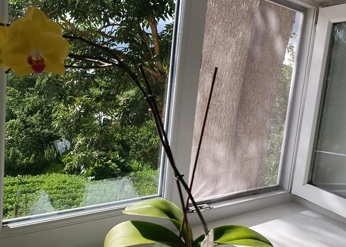 Maeo Apartment Apartman Mao